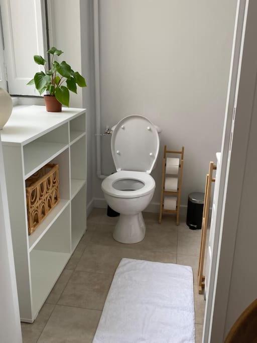 Appartement Plein Centre ليون المظهر الخارجي الصورة